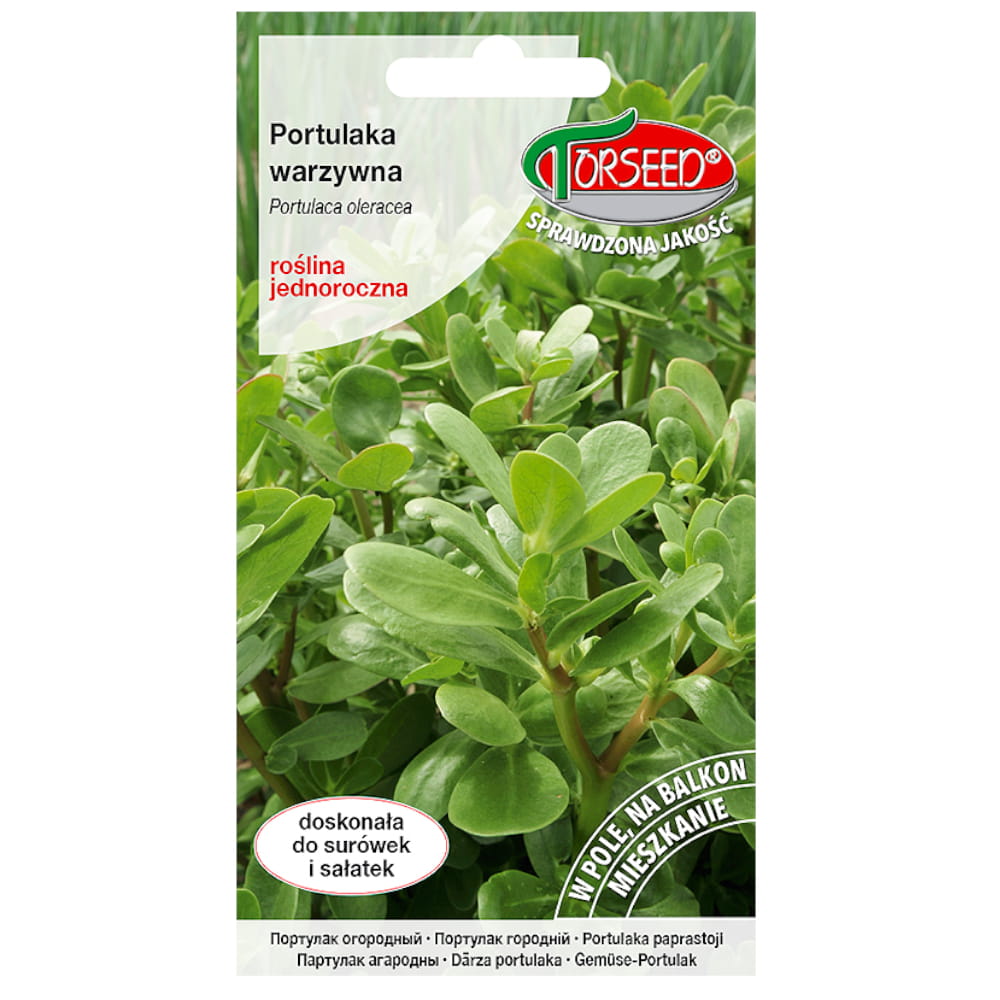 Portulaka warzywna nasiona 1g - TORSEED