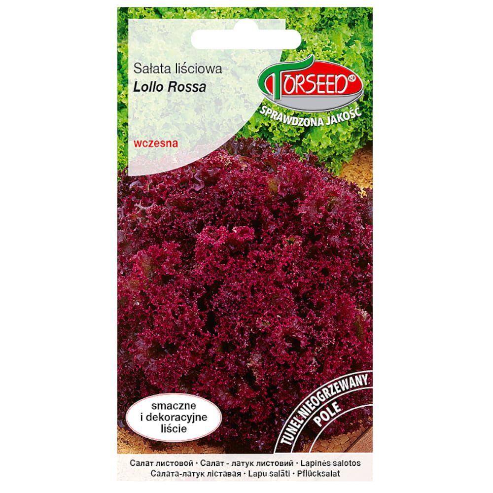 Sałata Lollo Rossa nasiona 0,5g - TORSEED