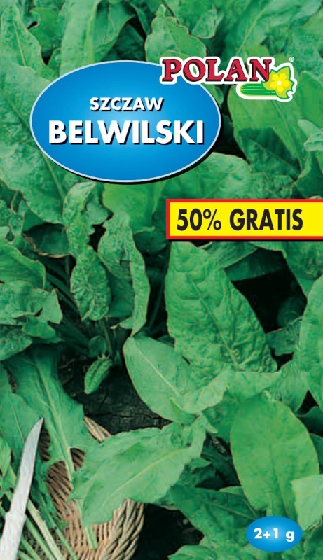 Szczaw Belwilski nasiona 2 + 1g - POLAN