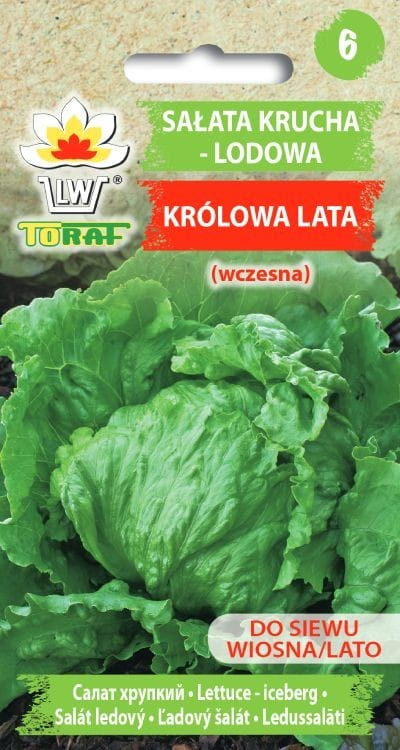 6272.jpg Sałata Królowa Lata Krucha Lodowa 1g - TORAF