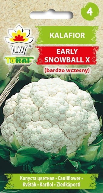 Kalafior Early Snowball X 1g - TORAF