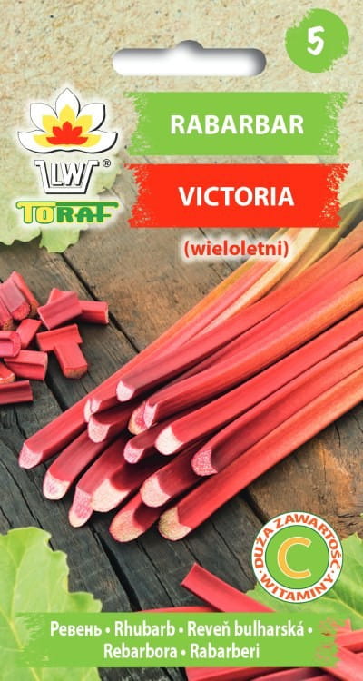 6302.jpg Rabarbar Victoria nasiona 0,5g - TORAF