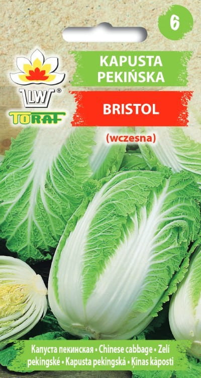 Kapusta Pekińska Bristol 1g - TORAF