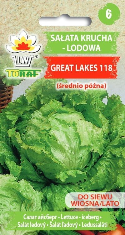 6306.jpg Sałata Great Lakes Krucha Lodowa 2g - TORAF