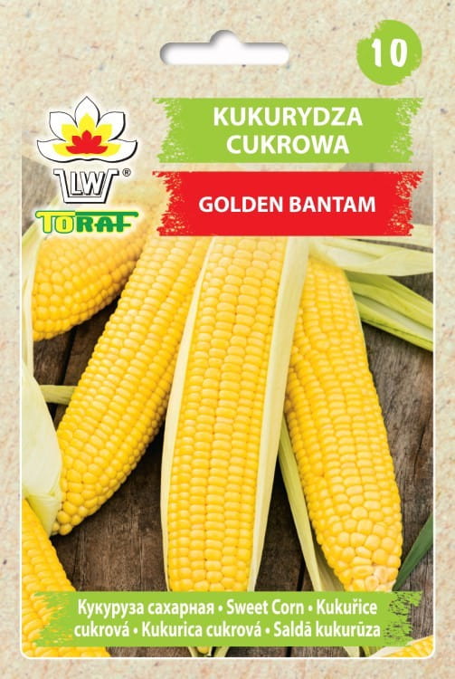 Kukurydza Golden Bantam 20g - TORAF