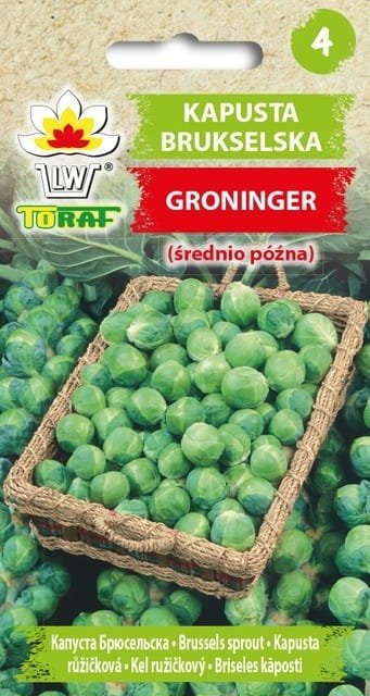 Kapusta brukselska Groninger 2g - TORAF