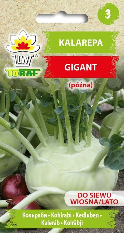 Kalarepa Gigant nasiona 2g - TORAF