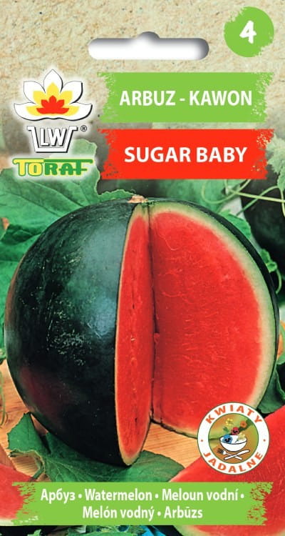 Arbuz Sugar Baby nasiona 1g - TORAF