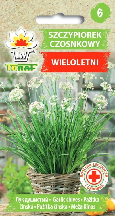 6384.jpg Szczypiorek Czosnkowy nasiona 1g - TORAF