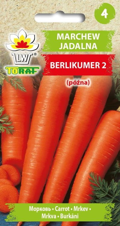 6396.jpg Marchew BERLIKUMER nasiona 5g - TORAF
