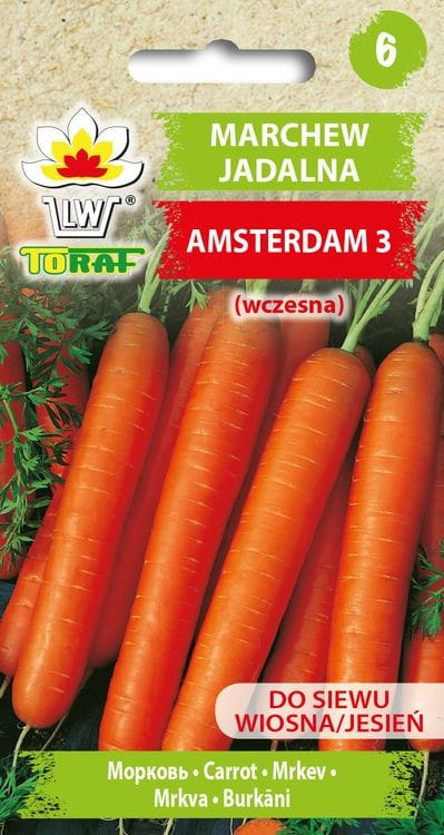 Marchew Amsterdam 3 nasiona 5g - TORAF