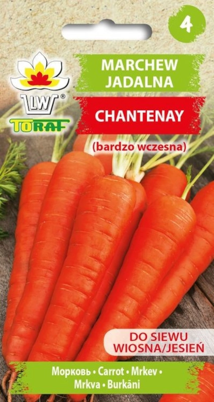 Marchew jadalna Chantenay nasiona 5g - TORAF