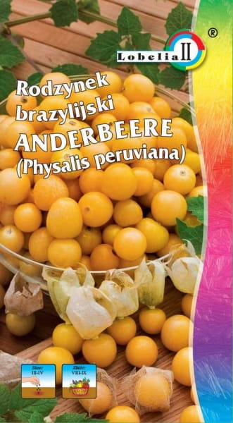 6445.jpg Rodzynek brazylijski Andenbeere 0,2g - LOBELIA II