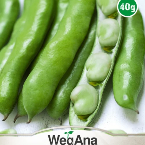 6537.webp Bób Bonus 40g - WegAna