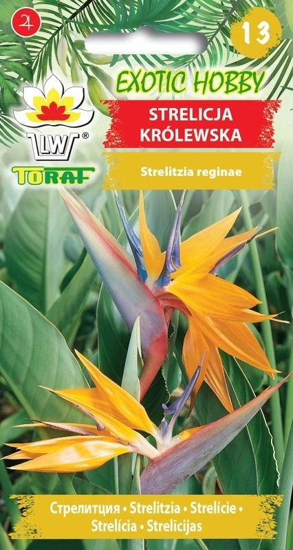 6567.webp Strelicja królewska nasiona 5 szt. - TORAF