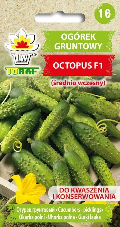 Ogórek Octopus nasiona 1g -TORAF
