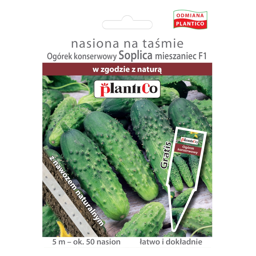 7716.webp Ogórek gruntowy Soplica nasiona na taśmie 5m - Plantico