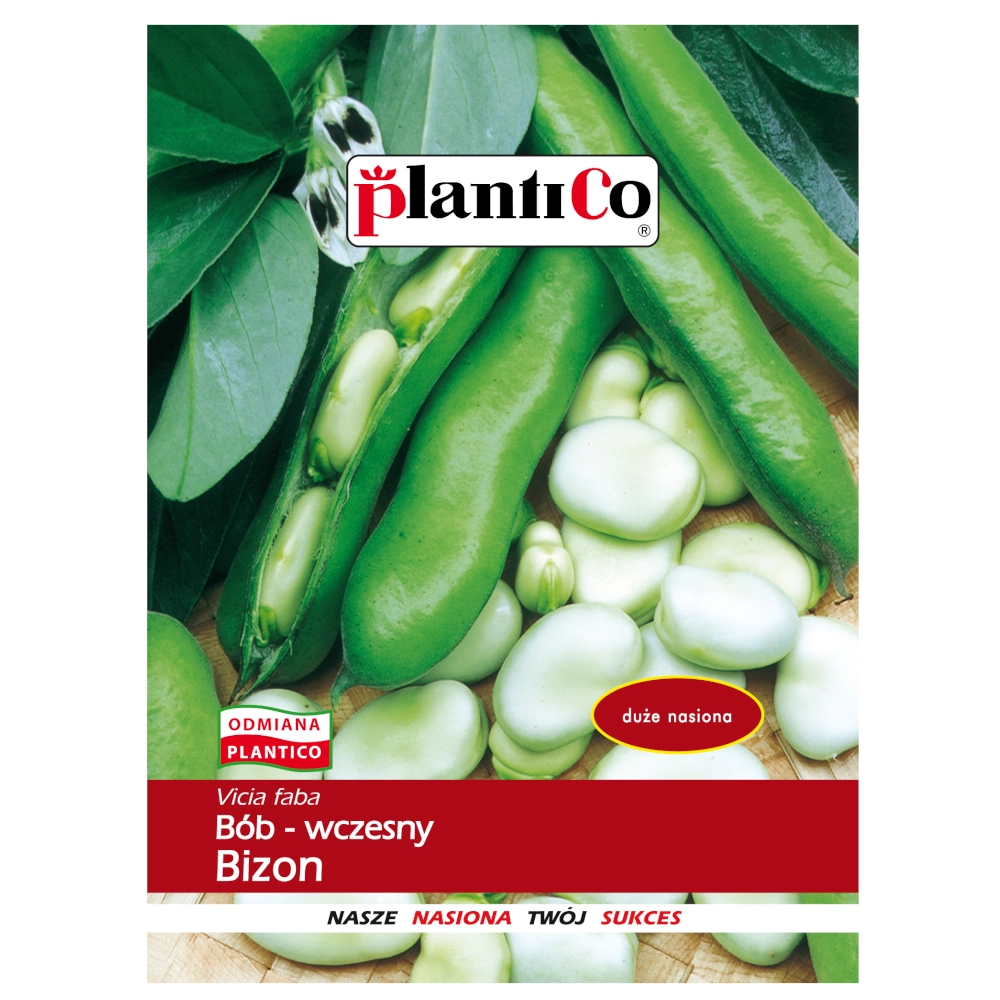 Bób Bizon nasiona 50g - PlantiCo