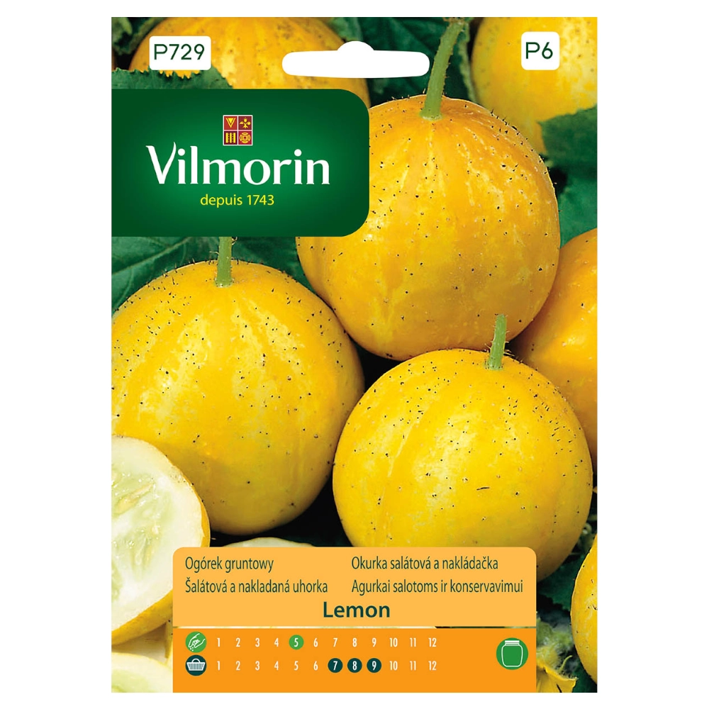 8165.webp Ogórek gruntowy Lemon nasiona 1,5g - VILMORIN