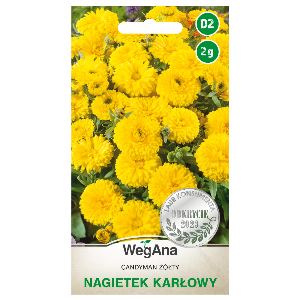 8596.webp Nagietek karłowy Candyman żółty nasiona 2g - WegAna