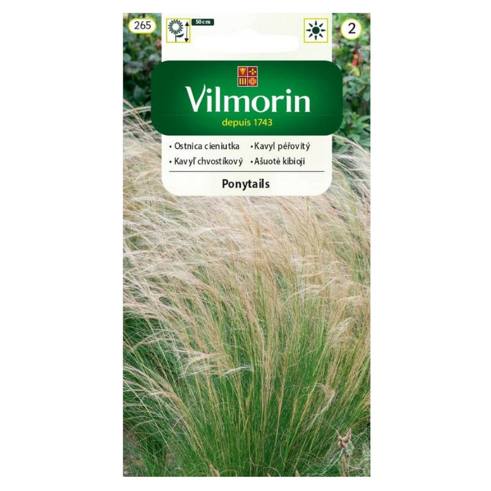 8601.webp Ostnica cieniutka Ponytails nasiona 0,1g - VILMORIN