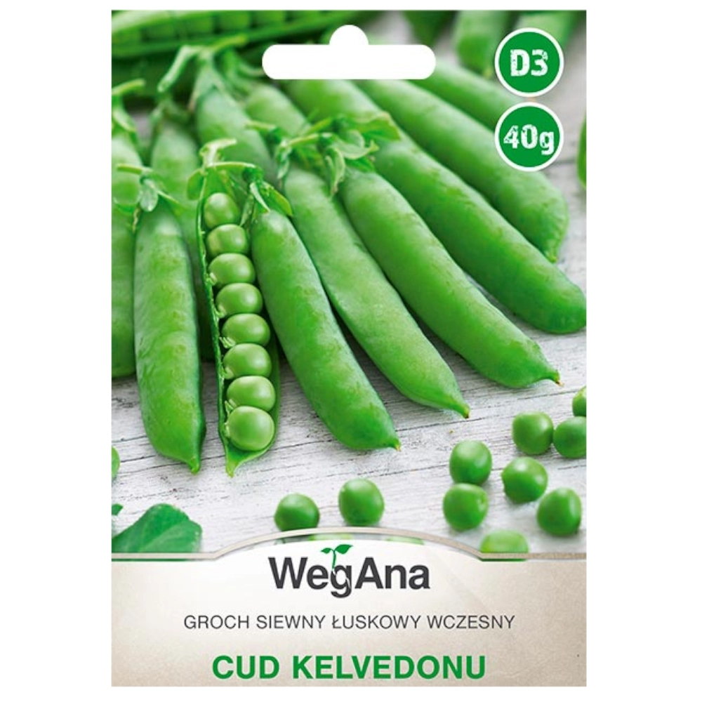 Groch siewny łuskowy Cud Kelvedonu nasiona 40g - WegAna