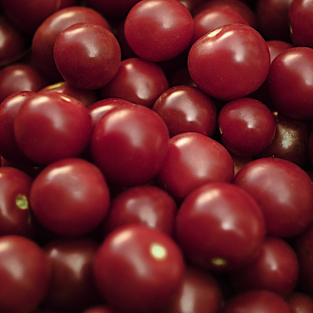 Pomidor Black Cherry 0,3g - TORAF