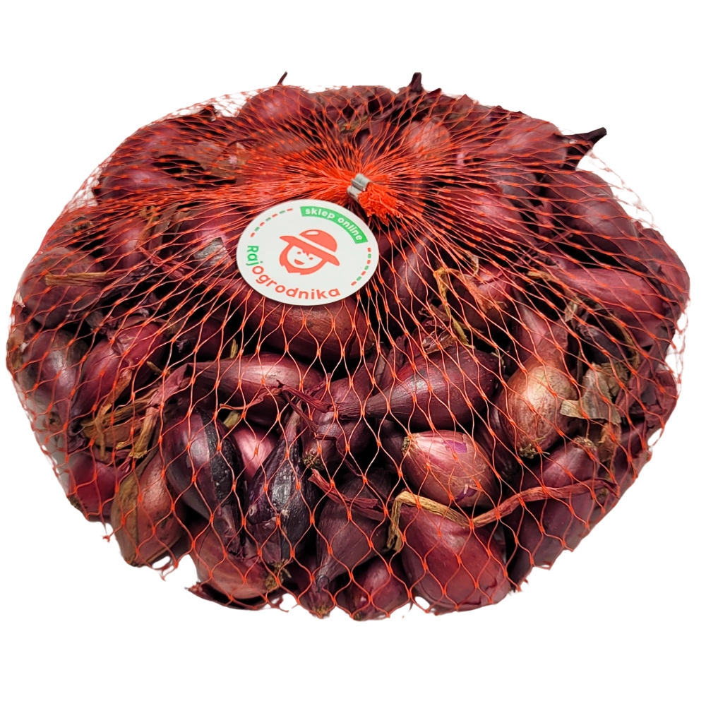 8849.webp Cebula Dymka Czerwona KARMEN do sadzenia 250g WIOSENNA