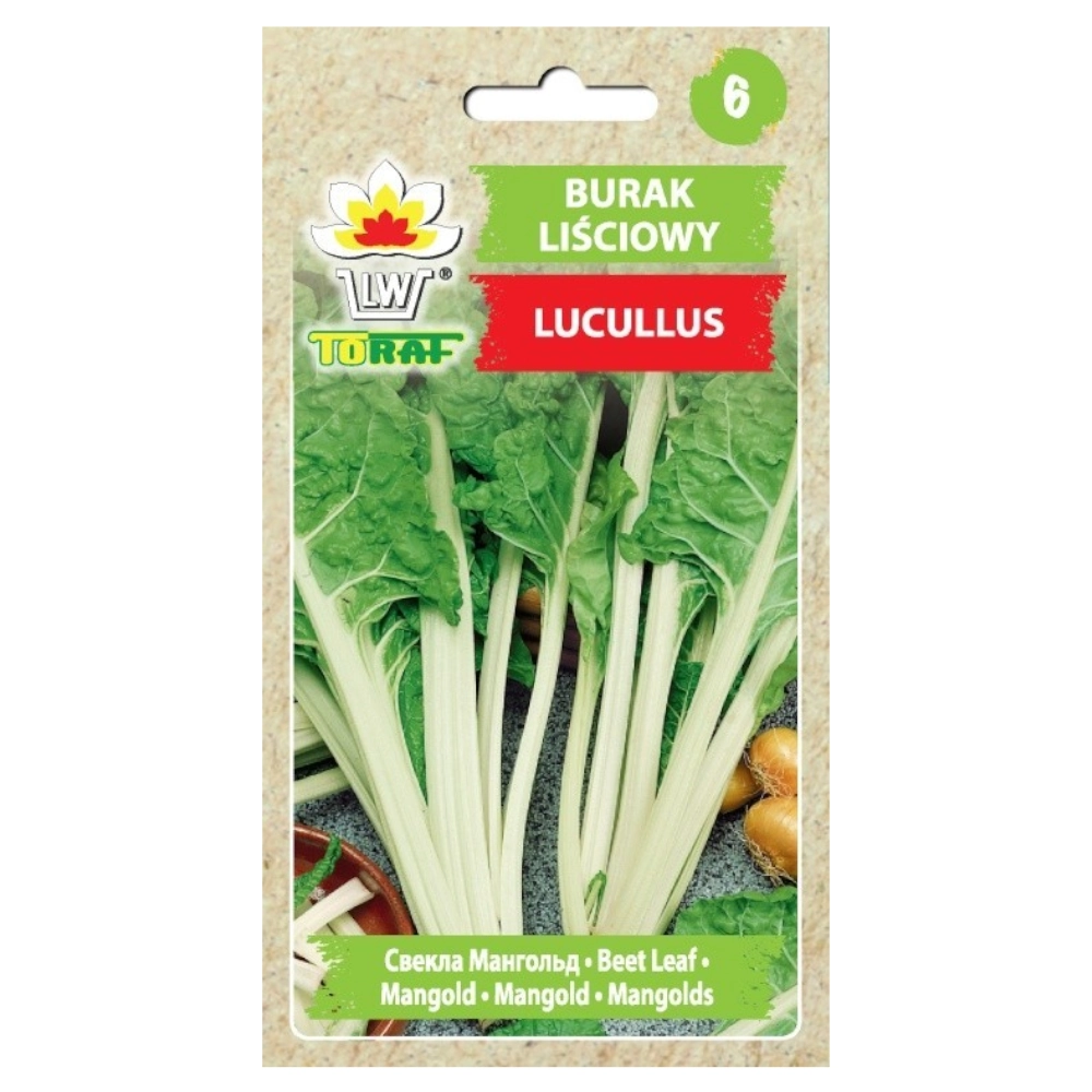 8979.webp Burak liściowy Lucullus nasiona 5g - TORAF
