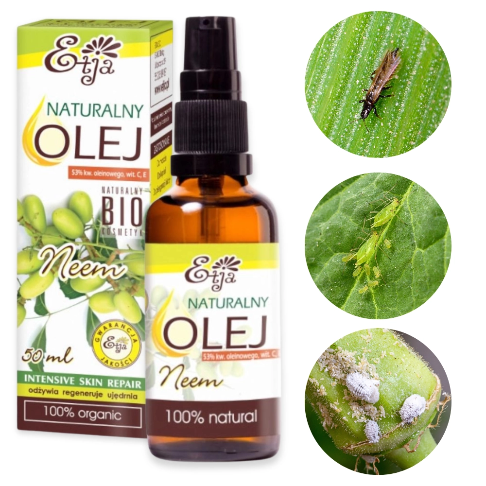 Olej Neem z miodoli indyjskiej na ziemiórki 50ml - Etja