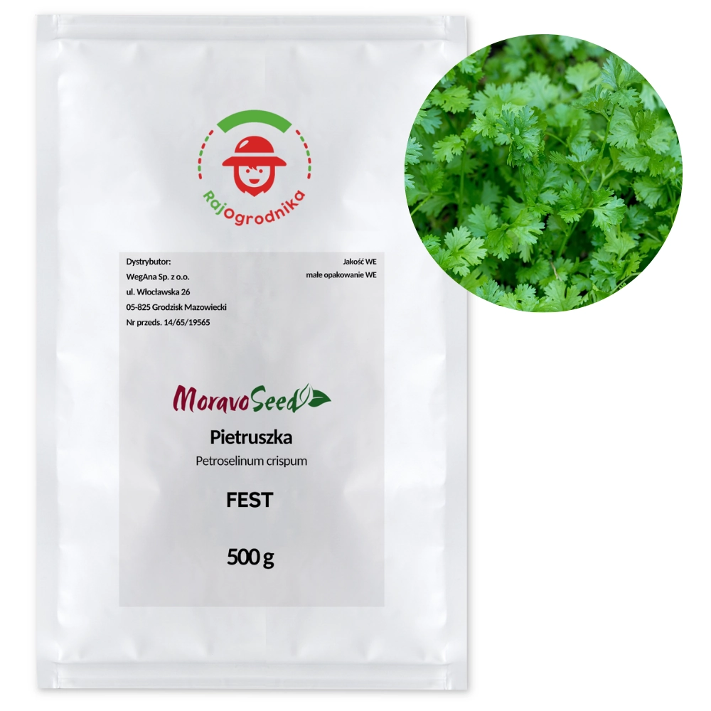 Pietruszka naciowa Fest nasion 500g - WegAna