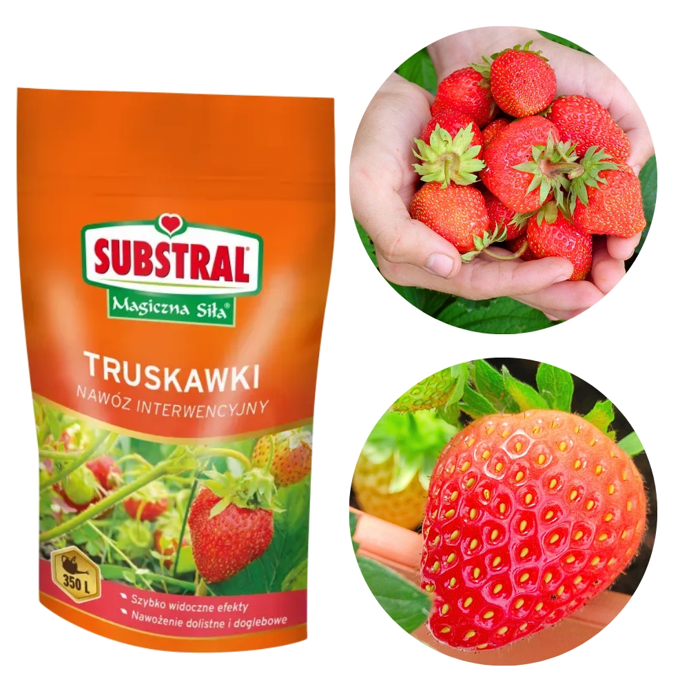 9371.webp Nawóz Magiczna Siła do truskawek 350g - Substral