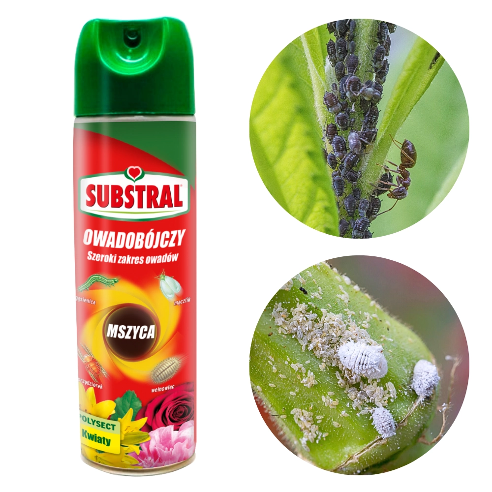 Polysect Środek Owadobójczy Spray 400ml - Substral