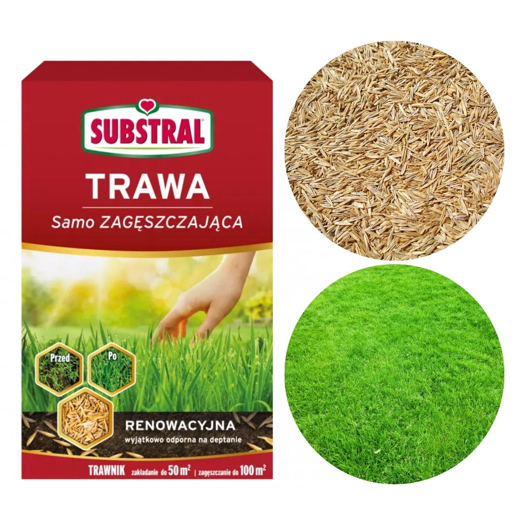 9520.webp Trawa Samozagęszczająca Renowacyjna 1kg - Substral