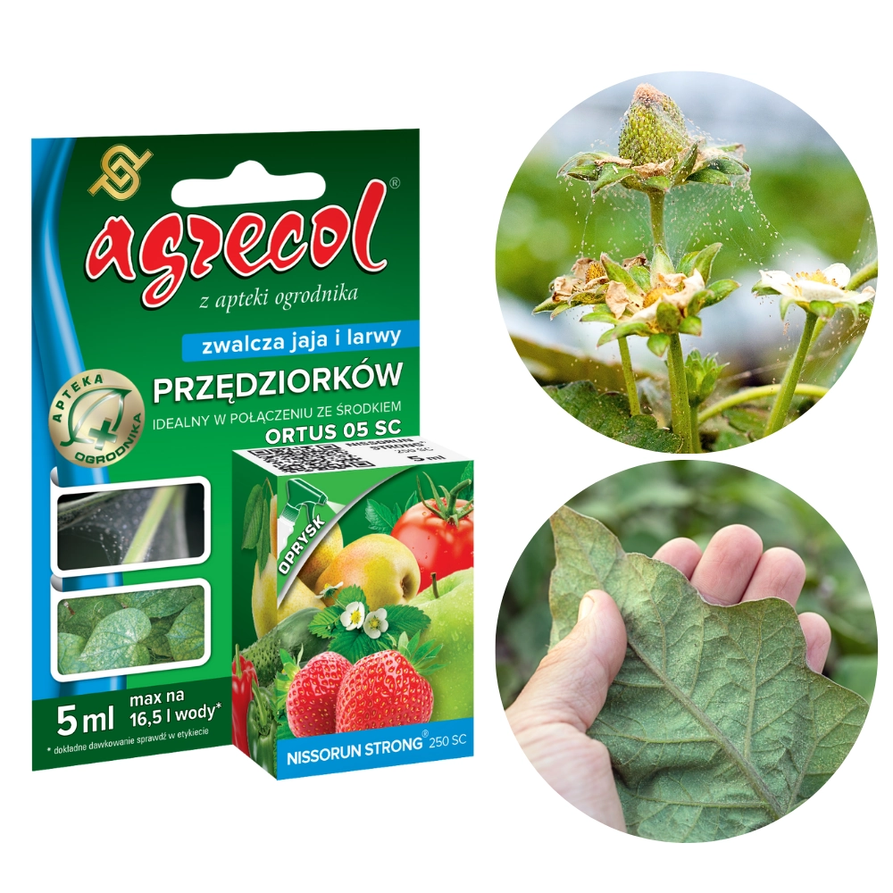 9569.webp Nissorun Strong 250 SC zwalcza jaj i larwy przędziorków 5 ml - Agrecol