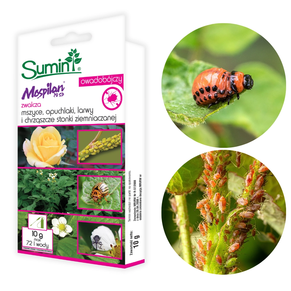 Mospilan 20 SP zwalcza mszyce, opuchlaki oraz stonkę ziemniaczaną 10 g - SUMIN